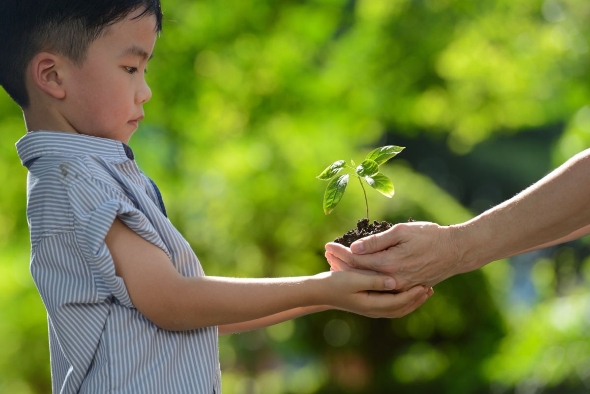 future of sustainability