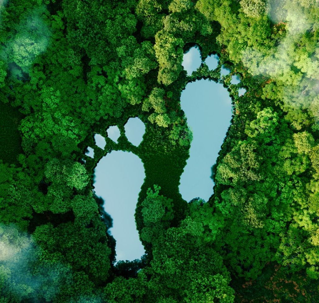 dental carbon footprint