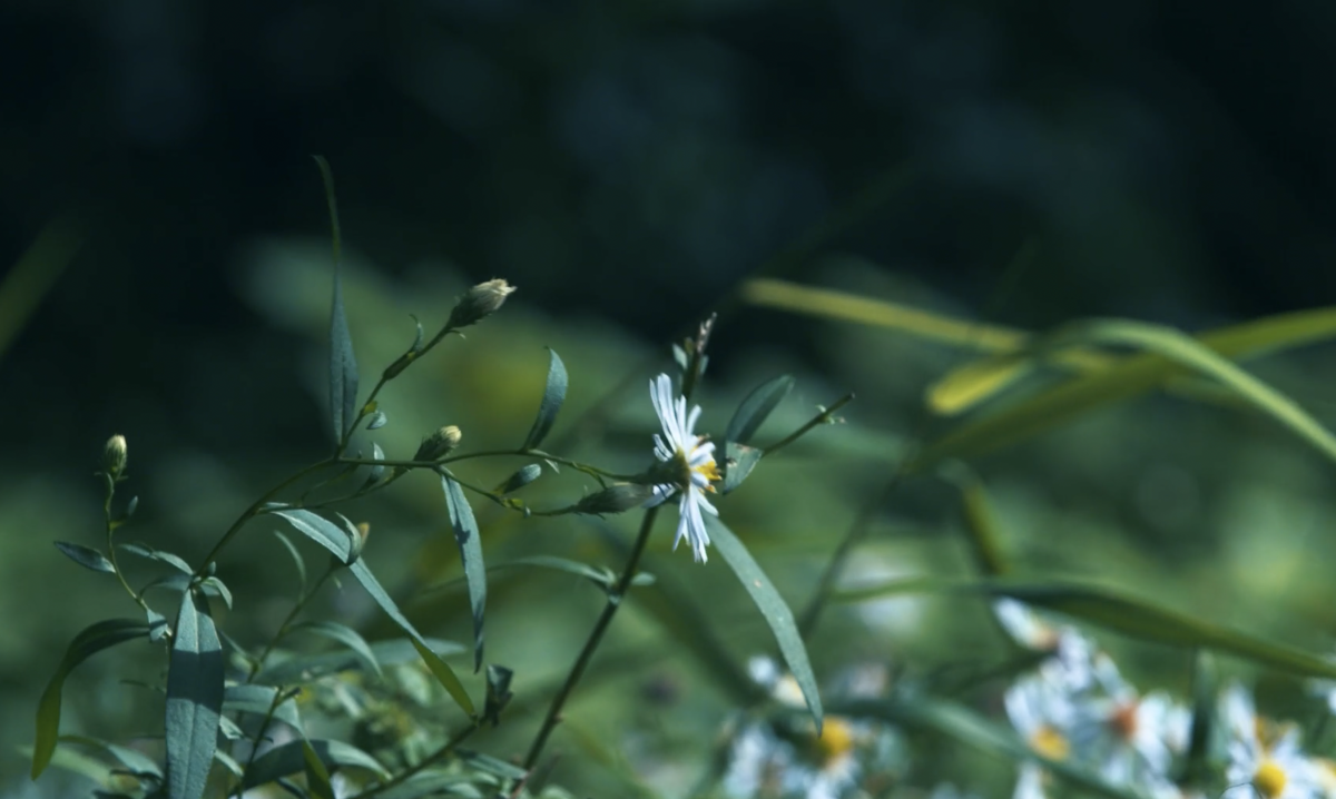 Enviroment-B Corp